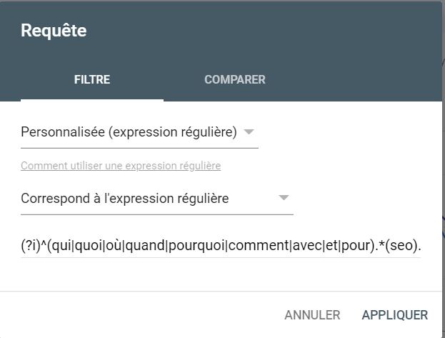 Filtre expression régulière search console